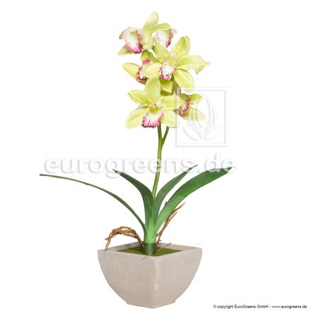 künstliche Cymbidium Orchidee ca. 50cm limettengrün