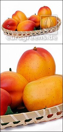künstliche Mango gelb rot