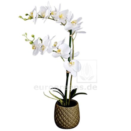 künstliche Orchidee weiß/creme im Keramiktopf ca. 65cm