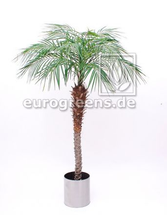 Kunstpflanze Phönix Palme ca. 180-200cm