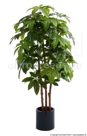 Kunstpflanze Schefflera de Luxe 180cm