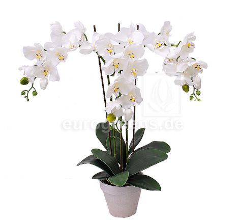 künstliche weiß creme Phalaenopsis Orchidee