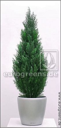 künstliche Zypresse Thuja ca. 65cm (mit Einsteckstab/ ungetopft)