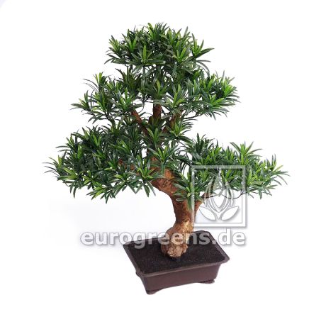 künstlicher Podocarpus-Bonsai ca. 80cm