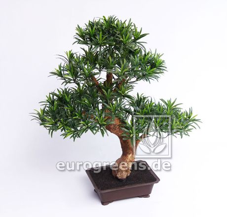 künstlicher Podocarpus-Bonsai ca. 80cm