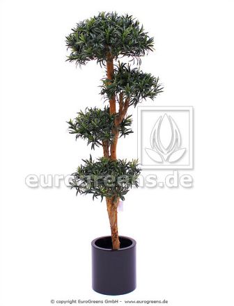 Kunstpflanze Steineibe Podocarpus Bonsai ca. 150cm