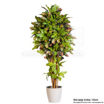 Kunstpflanze Crotonbaum DLX  ca. 170 cm