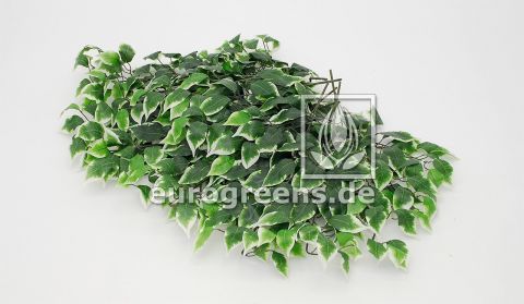 künstlicher Ficus-Exotica Zweig grün weiss ca. 60cm lang