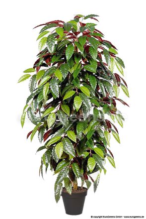 Kunstpflanze Capensia ca. 130cm
