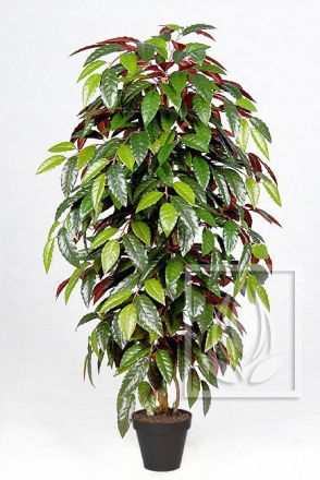 Kunstpflanze Capensia ca. 120cm