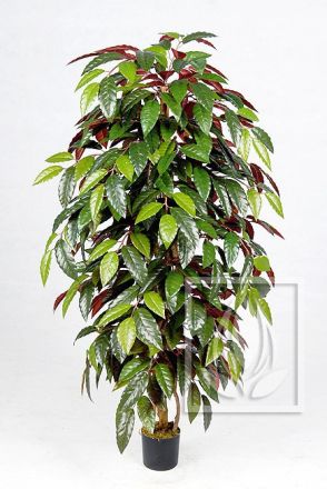 Kunstpflanze Capensia ca. 120cm