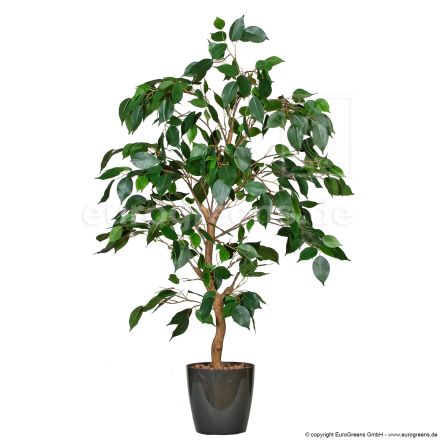 Kunstpflanze Ficus Benjamini grün ca. 70-80 cm