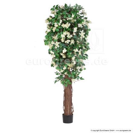 künstliche Bougainvillea weiß/creme blühend ca. 170cm