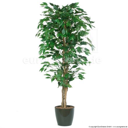 Kunstpflanze Ficus Benjamini grün ca. 170-180cm