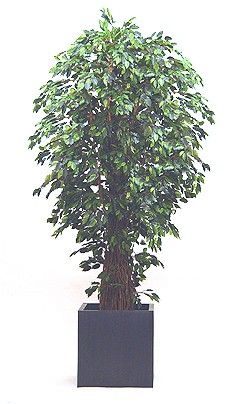 Kunstpflanze Giant Ficus Liane ca. 240cm