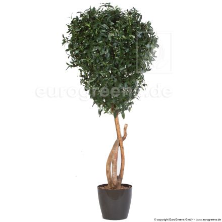 Kunstpflanze Olivenbaum De Luxe ca. 145cm
