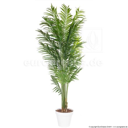 Kunstpflanze Kentiapalme ca. 210cm mit echter Palmenfaser