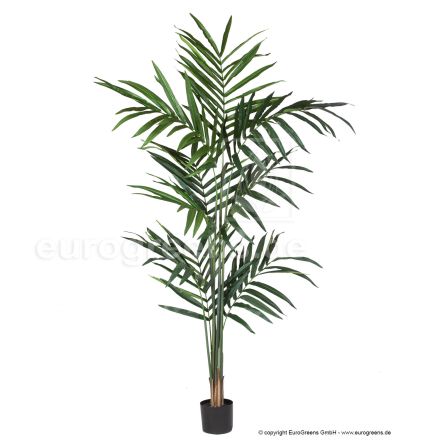 Kunstpflanze Kentiapalme ca. 210cm