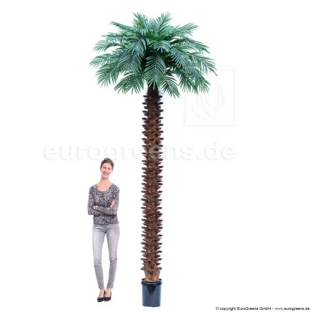 Kunstpflanze Pindo Palme XL ca. 400cm
