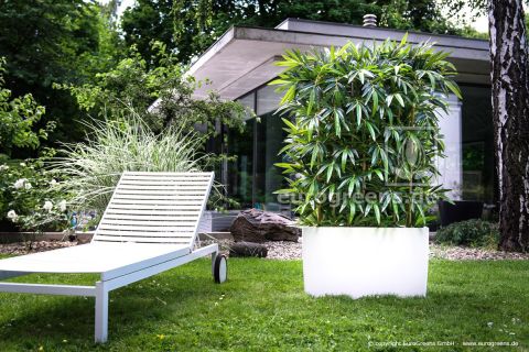 Kunstpflanze Naturstamm Bambus Hecke ca. 110-120cm