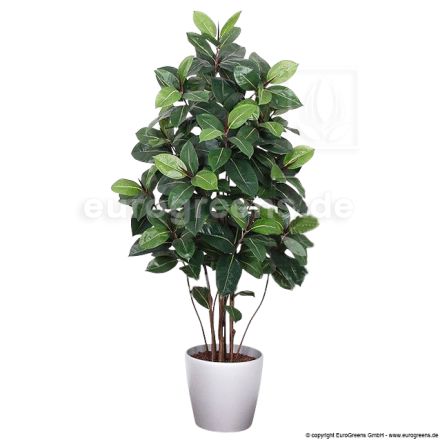 Kunstpflanze Gummibaum ca. 170- 180cm