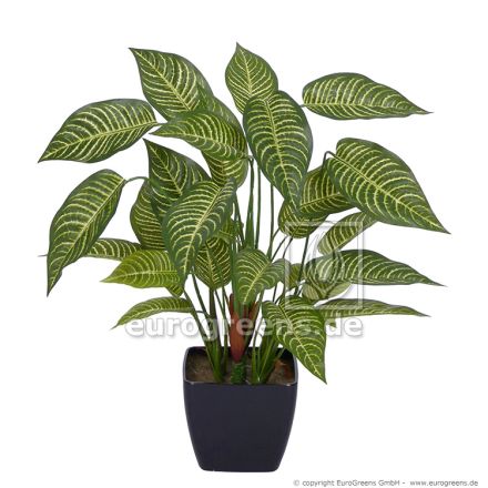 künstliche Aphelandra Pflanze ca. 50cm
