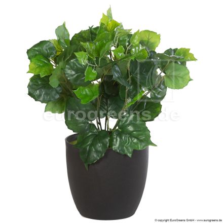 künstliche Cissus Pflanze ca. 35-40cm hoch 