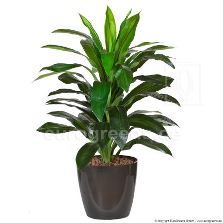 künstliche Dracaena Pflanze ca. 70cm