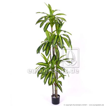 Kunstpflanze Dracaena Massangeana ca. 190-200cm