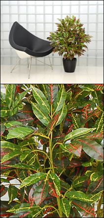 Kunstpflanze, künstlicher Croton 100-110cm (mit Einsteckstab/ungetopft)