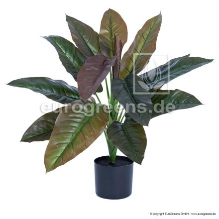 Kunstpflanze Philodendron Imperial Red ca. 65cm