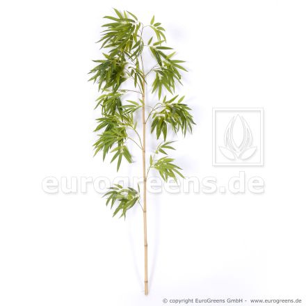 Naturstamm chinesischer Bambus Stab mit Blättern ca.150cm