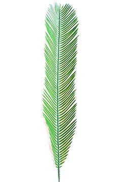Plastik Cycas Palmenwedel ca. 100cm lang