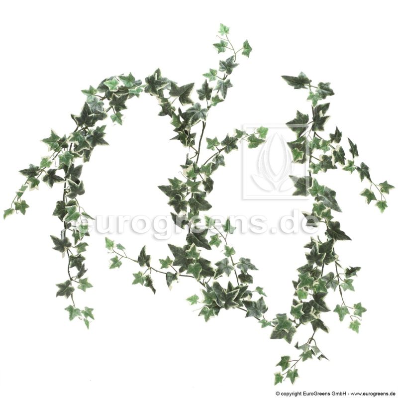 Efeugirlande Girlande Efeuranke  Efeu  Kunstpflanze 170 cm grün 17293-01 F42 