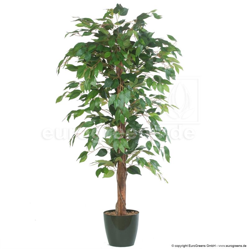 Ficus Benjamin Kunstpflanze Künstliche Pflanze mit Echtholz 120cm Decovego 