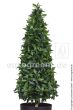 Kunstbaum Lorbeerpyramide 150cm Naturstamm dunkelgrün Blätter Ega 50105 1