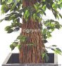 Kunstpflanze Ficus Liane mit grün creme Blättern 110cm Stammdetail