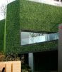 Wetterfeste Buchsbaum Paneel 50x50cm Fassadenverkleidung