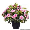 künstliche Belgium Azalee Cream pink 25cm