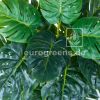 Kunstpflanze künstliche Monstera 60 70cm hoch Blattdetail Eg3 1009