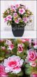 künstliche Blühende Topfpflanze Belgium Azalee Cream pink 25cm Vorschau