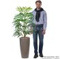 Kunstplame künstliche Areca Palme 100cm Mensch Vergleich