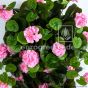 K Nstliche Blume Hängegeranie Rosa 70cm Detail Eg34 300