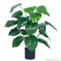 künstliche Alocasia Pflanze 70cm Blattdetail Ega 0030