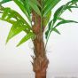 künstliche Borneo Palme 170 180cm Stamm