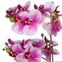 künstliche Orchidee in weissem Melamintopf 60cm Blüte
