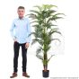 künstliche Royal Areca Palme 180cm Mensch Im Vergleich