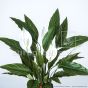 künstliche Topfpflanze Spathiphyllum 4 Weiße. Blüten ca. 50cm Blattdetail