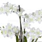 künstliche weiße Orchidee im schwarzen Melamintopf 70cm Blütendetail