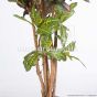 künstlicher Baum Croton 170cm Stammdetail